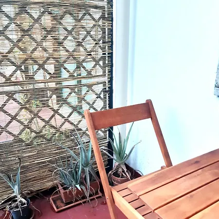 Mimosa Penzion *