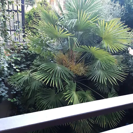 Mimosa Maison d'hôtes *